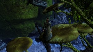 GW2 - Jumping Puzzles: Caledon Forest