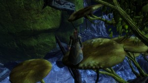 GW2 - Rompecabezas de salto: Bosque de Caledon