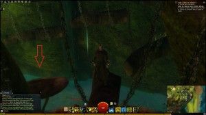 GW2 - Rompecabezas de salto: Bosque de Caledon