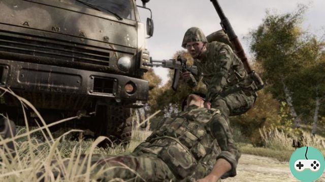 Arma 2 - Aperçu