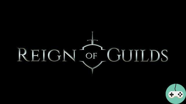 Reign of Guilds - Introducing an “old-fashioned” MMO