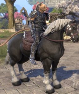 ESO - Mounts in TESO (1.6)