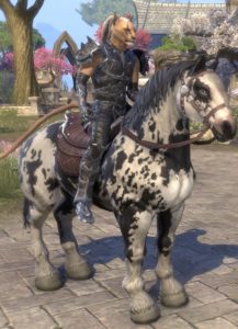 ESO - Mounts in TESO (1.6)