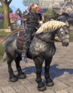 ESO - Mounts in TESO (1.6)