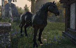 ESO - Mounts in TESO (1.6)