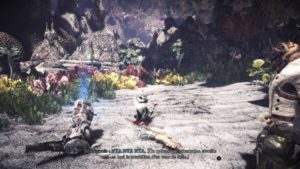 Monster Hunter: World - What is the difference between the good and the bad hunter?