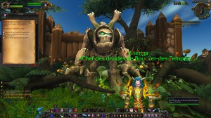 WoW - WoD: Ashran (Alliance)