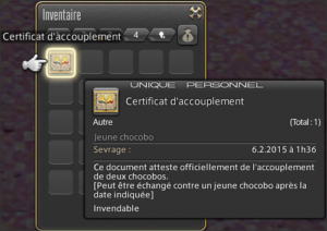 FFXIV - Les course de chocobo