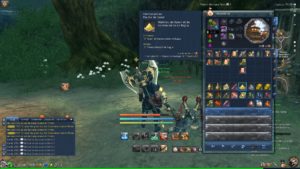 Blade & Soul - Little Scarab Guide - Equipo