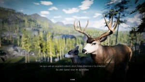 Simulador de caza: caza pura