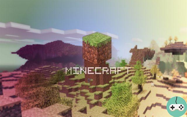 Minecraft - Panoramica
