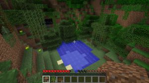 Minecraft - Panoramica