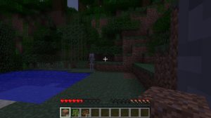 Minecraft - Panoramica