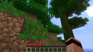 Minecraft - Panoramica