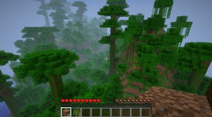 Minecraft - Panoramica