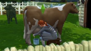 Los Sims 4 - Paquete de expansión Vida en el campo