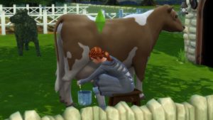 The Sims 4 – Pacote de Expansão Vida no Campo