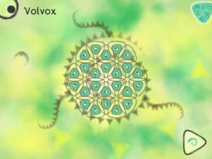 Volvox - A preview of an ingenious puzzle game