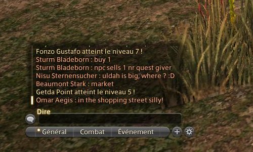 FFXIV - Meio de comunicação: chat