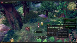 Aura Kingdom: anteprima beta