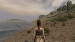 Life is Feudal - Regreso a la Edad Media en el MMO beta