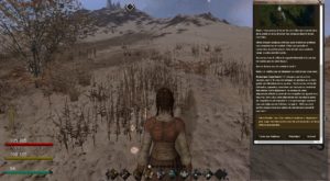 Life is Feudal - Regreso a la Edad Media en el MMO beta