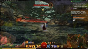 GW2 - Guide: On the edge of Maguuma