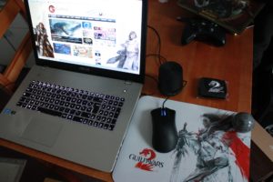 Tappetino per mouse GW2 SteelSeries GW2