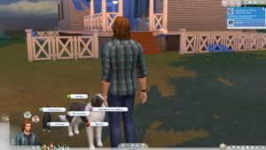 Los Sims 4 - Avance del paquete de expansión de perros y gatos