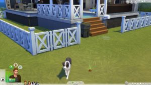 Los Sims 4 - Avance del paquete de expansión de perros y gatos