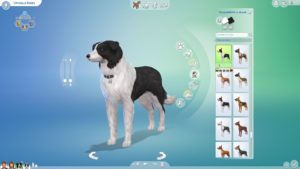 The Sims 4 - Cats and Dogs Expansion Pack Preview