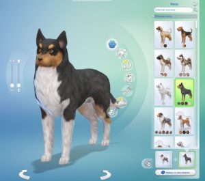 Los Sims 4 - Avance del paquete de expansión de perros y gatos