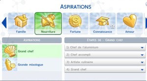 The Sims 4 - Aspirações