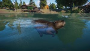 Planet Zoo – North America Pack