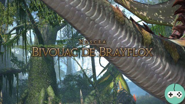 FFXIV - O acampamento de Brayflox