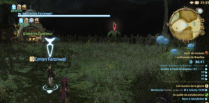 FFXIV - O acampamento de Brayflox