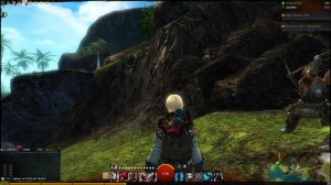 GW2 - Discovery: Bloody Tide Coast