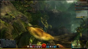 GW2 - Discovery: Bloody Tide Coast