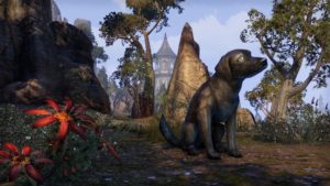 ESO - Crown Store Update