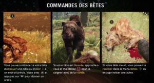 Far Cry Primal - Cómo adoptar un lobo blanco