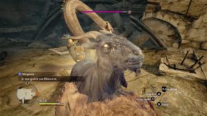 Dragon's Dogma: Dark Arisen - ¡Los dragones han vuelto!