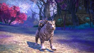 TERA - The Brawler, two dungeons and a free mount!