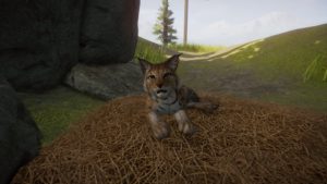 Planet Zoo – Pack Europa