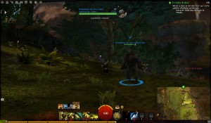 GW2 - Sulle orme ... dell'Elementalista!