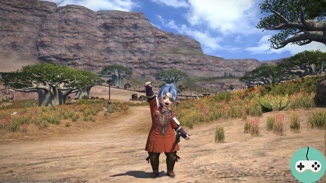 FFXIV - Carreras: les Lalafells