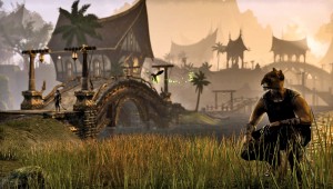 The-Elder-Scrolls-Online-Khajiit-at-sunset