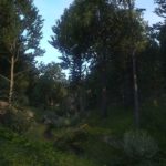 Kingdom Come: Deliverance - A Medieval RPG Masterpiece