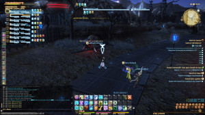 FFXIV - Fuerte Sur