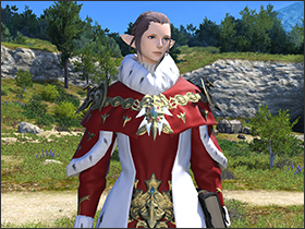 FFXIV - Update February 20