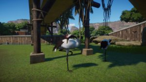 Planet Zoo – Wetland Animals Pack